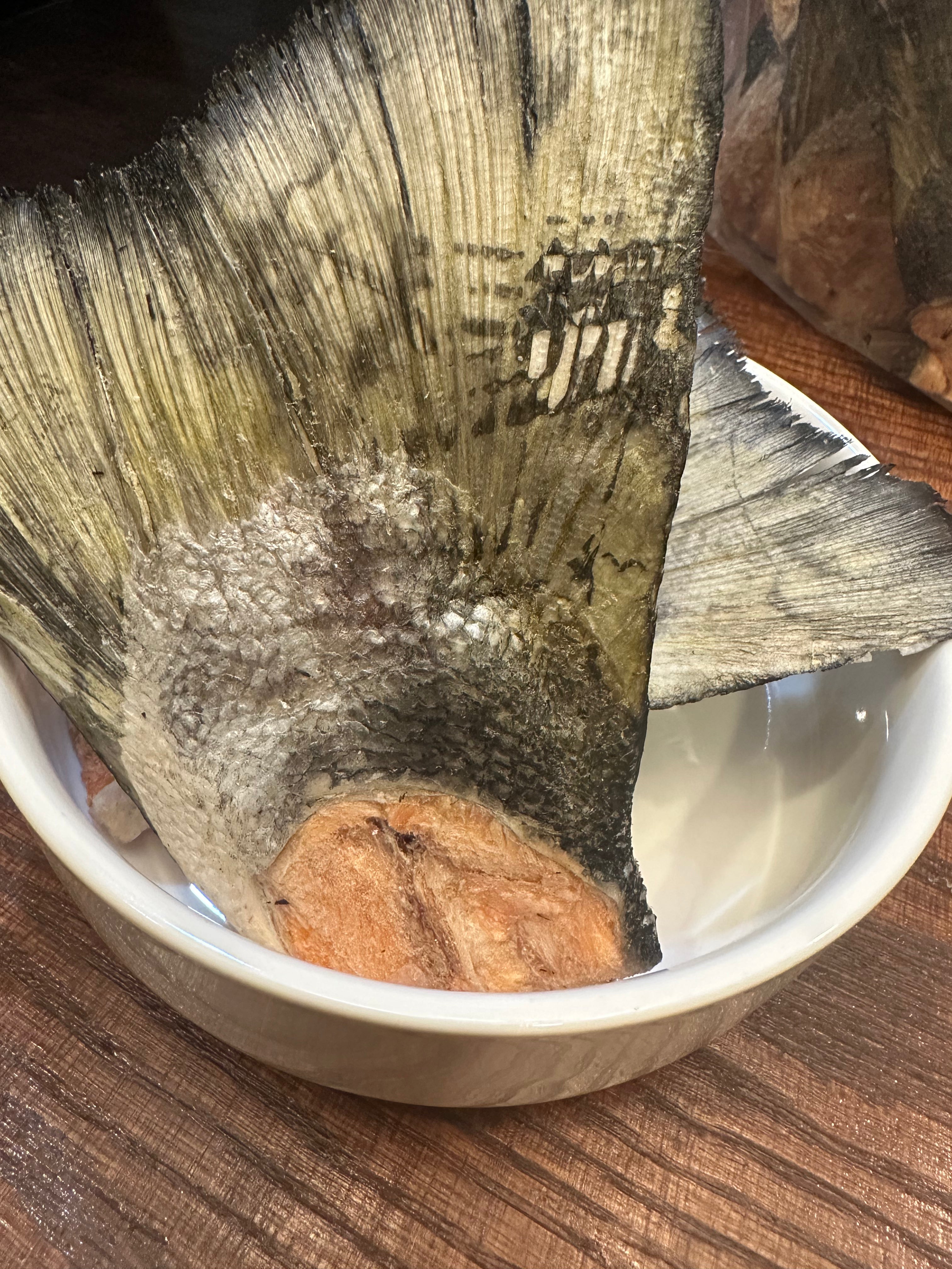 Freeze-Dried Salmon Tail Dog Treat