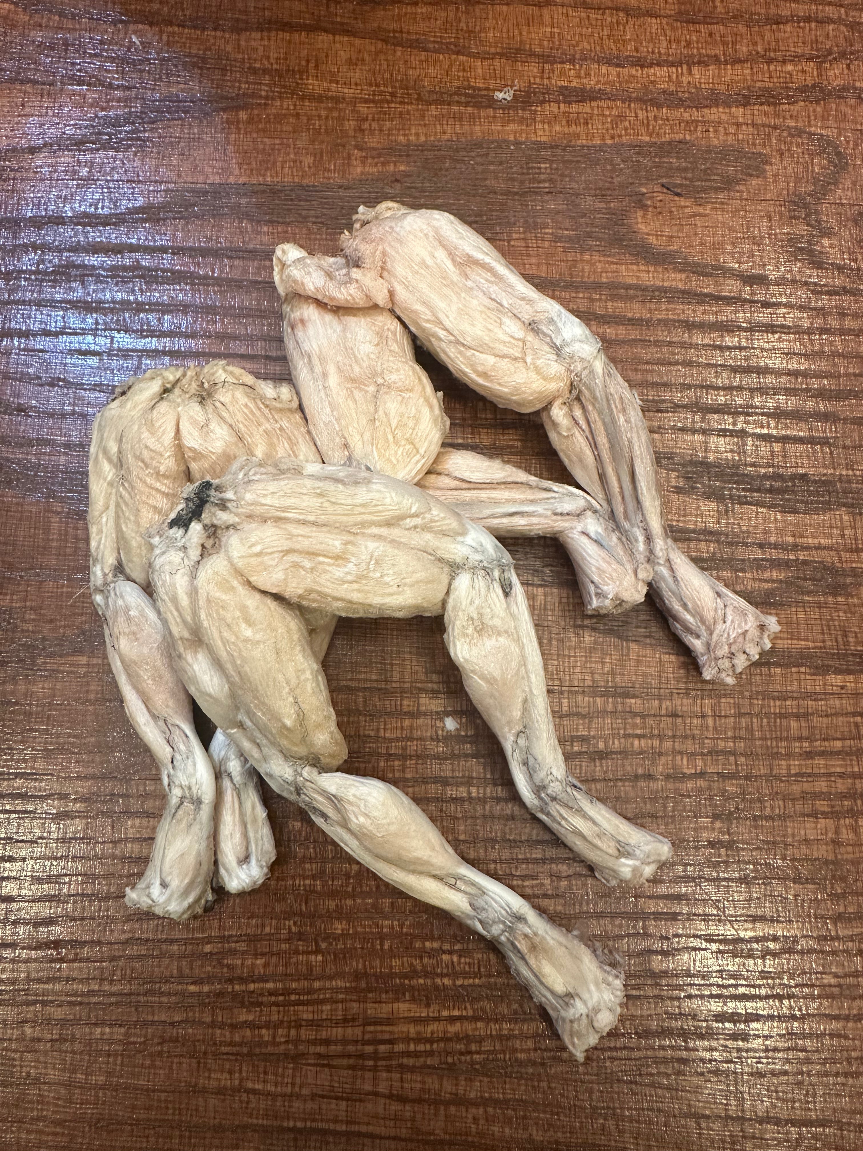 Freeze Dried Frog Legs