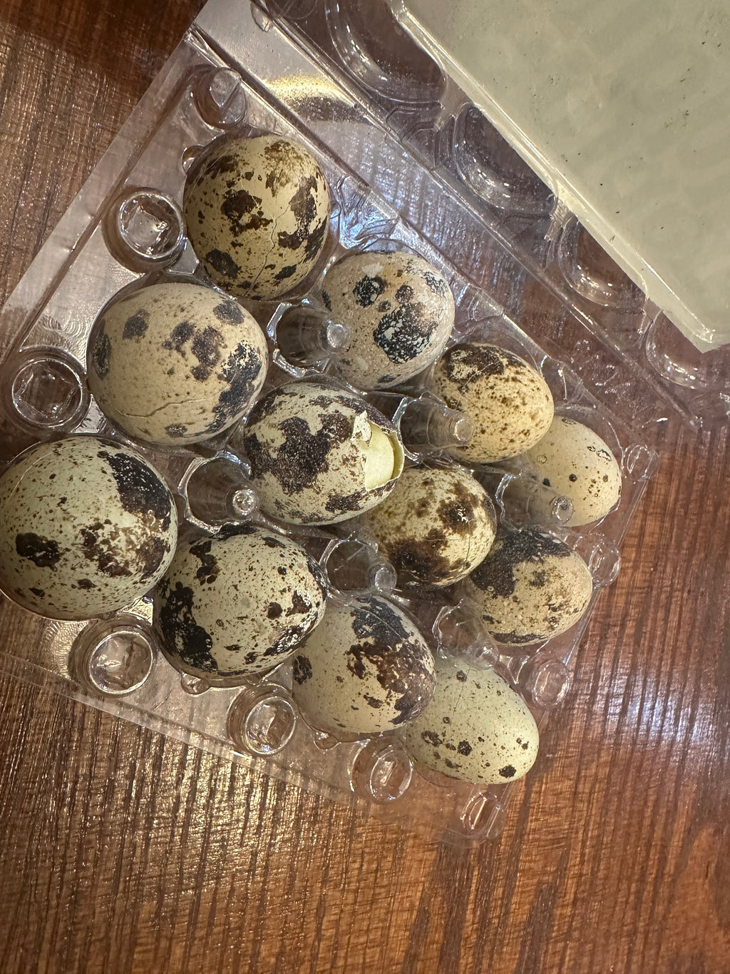 Quail Eggs