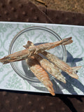 Large Prawns