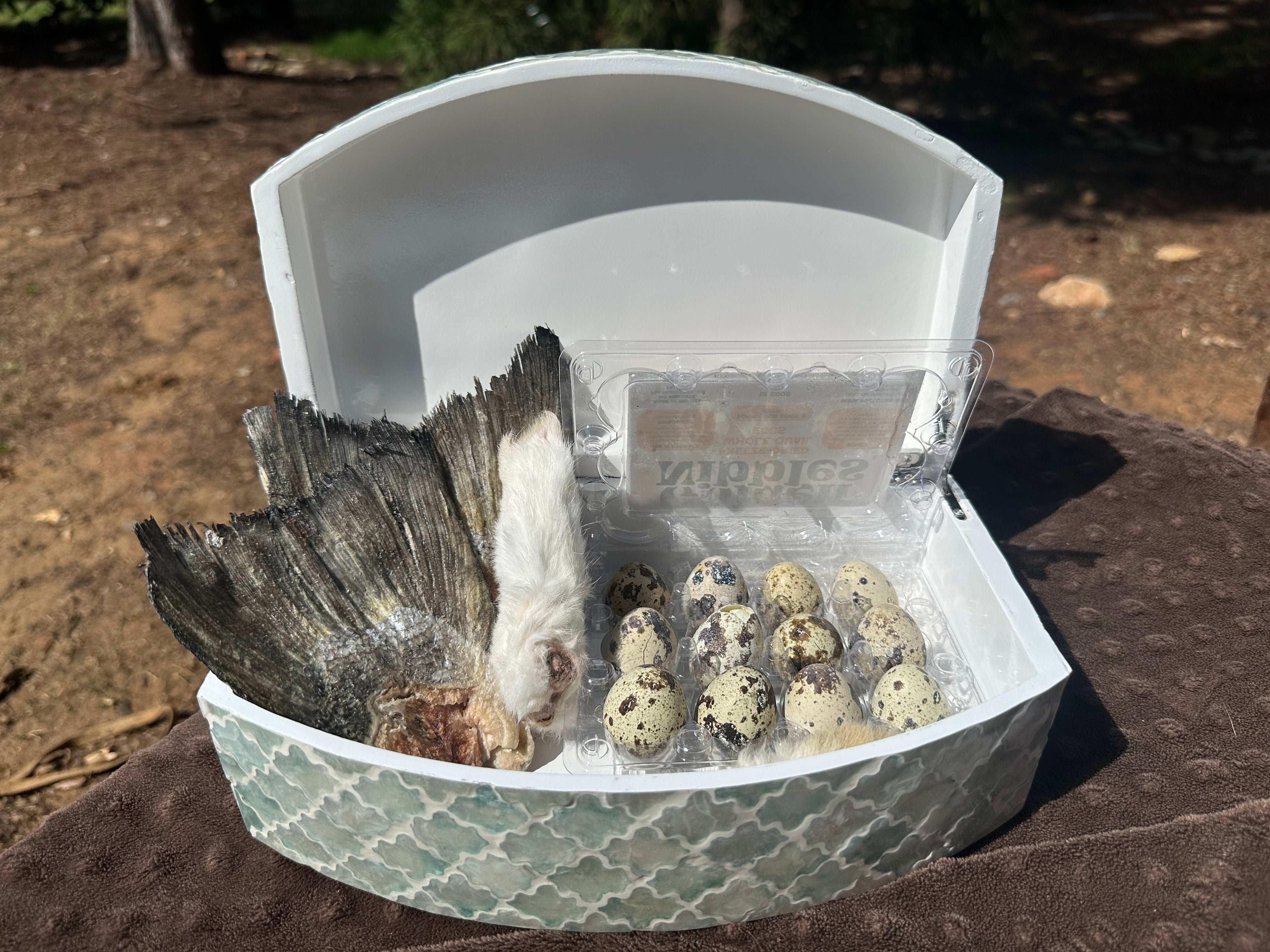 Freeze-Dried Salmon Tail Dog Treat