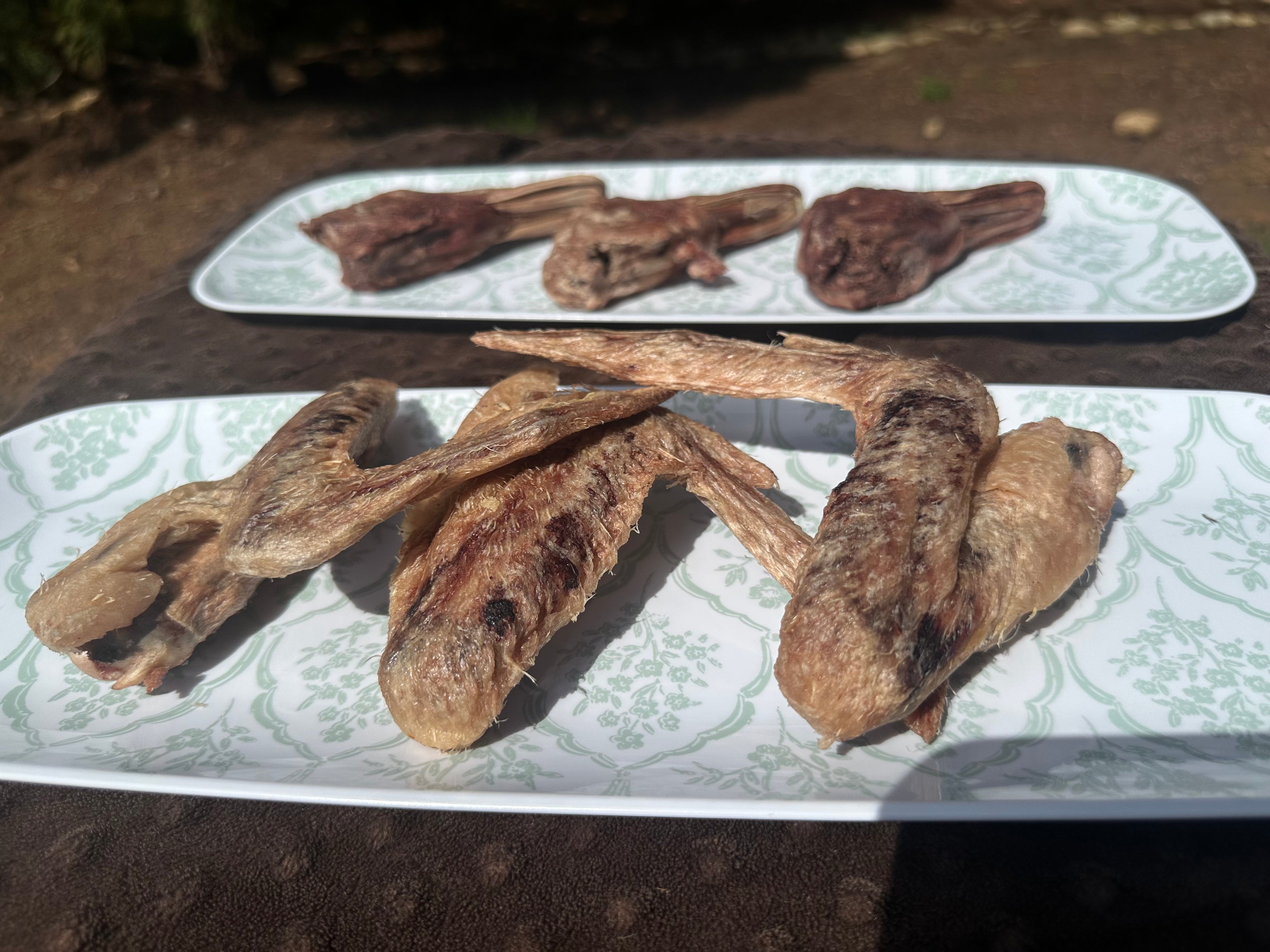 Freeze-Dried Duck Wing