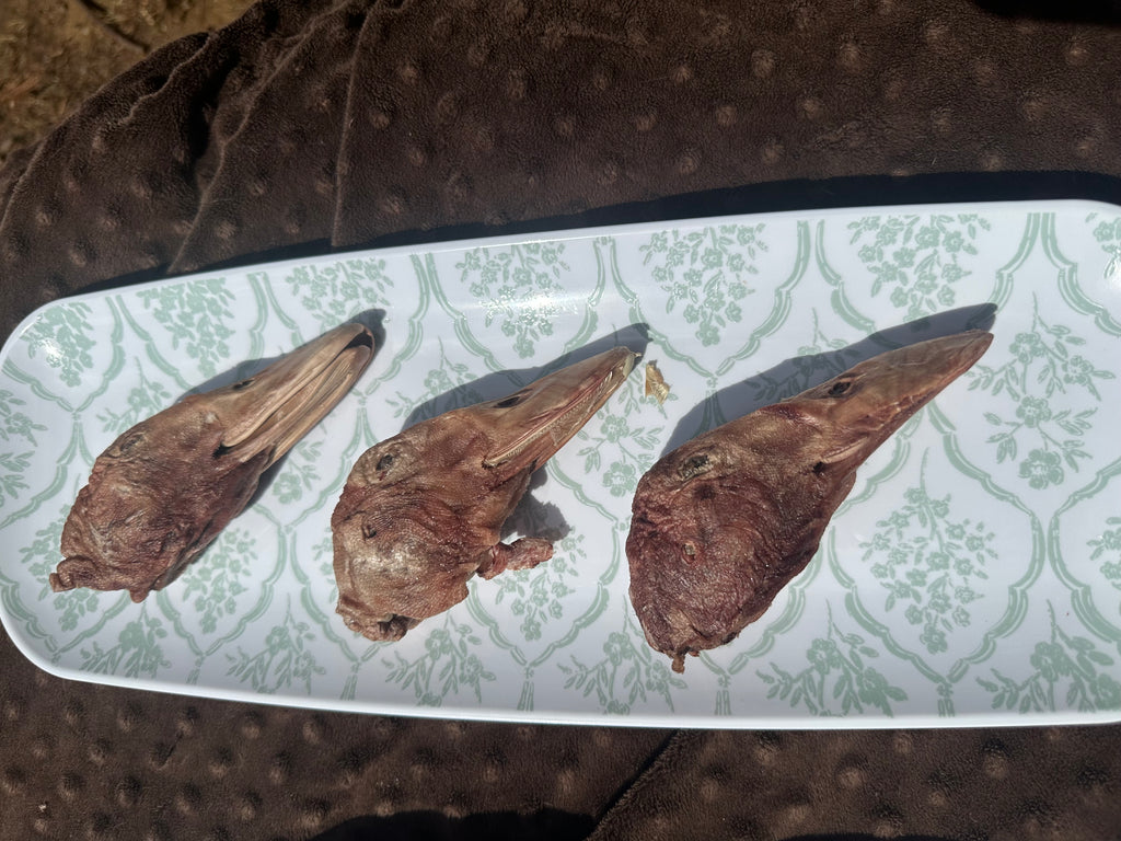 Duck Head