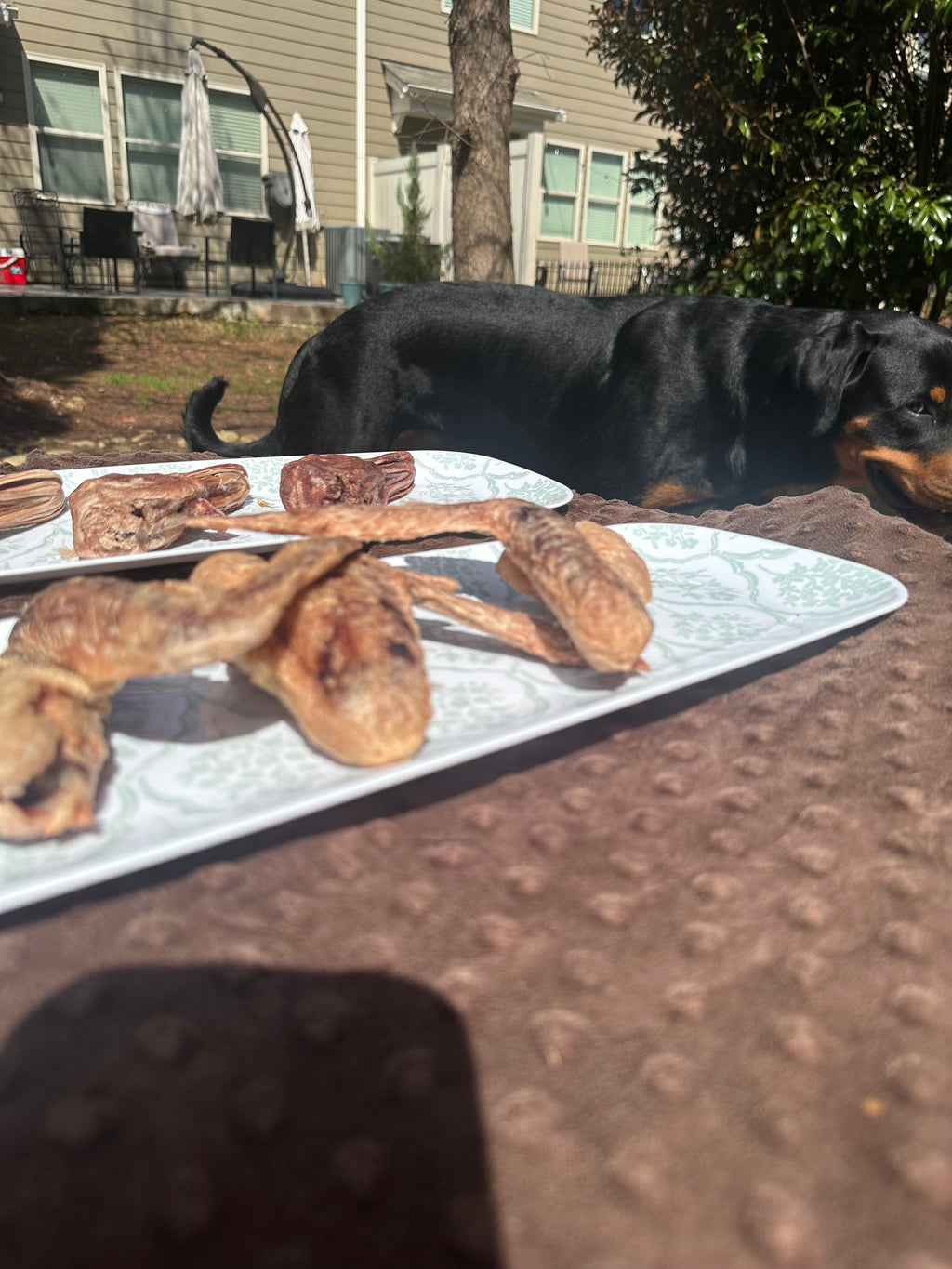 Freeze-Dried Duck Wing