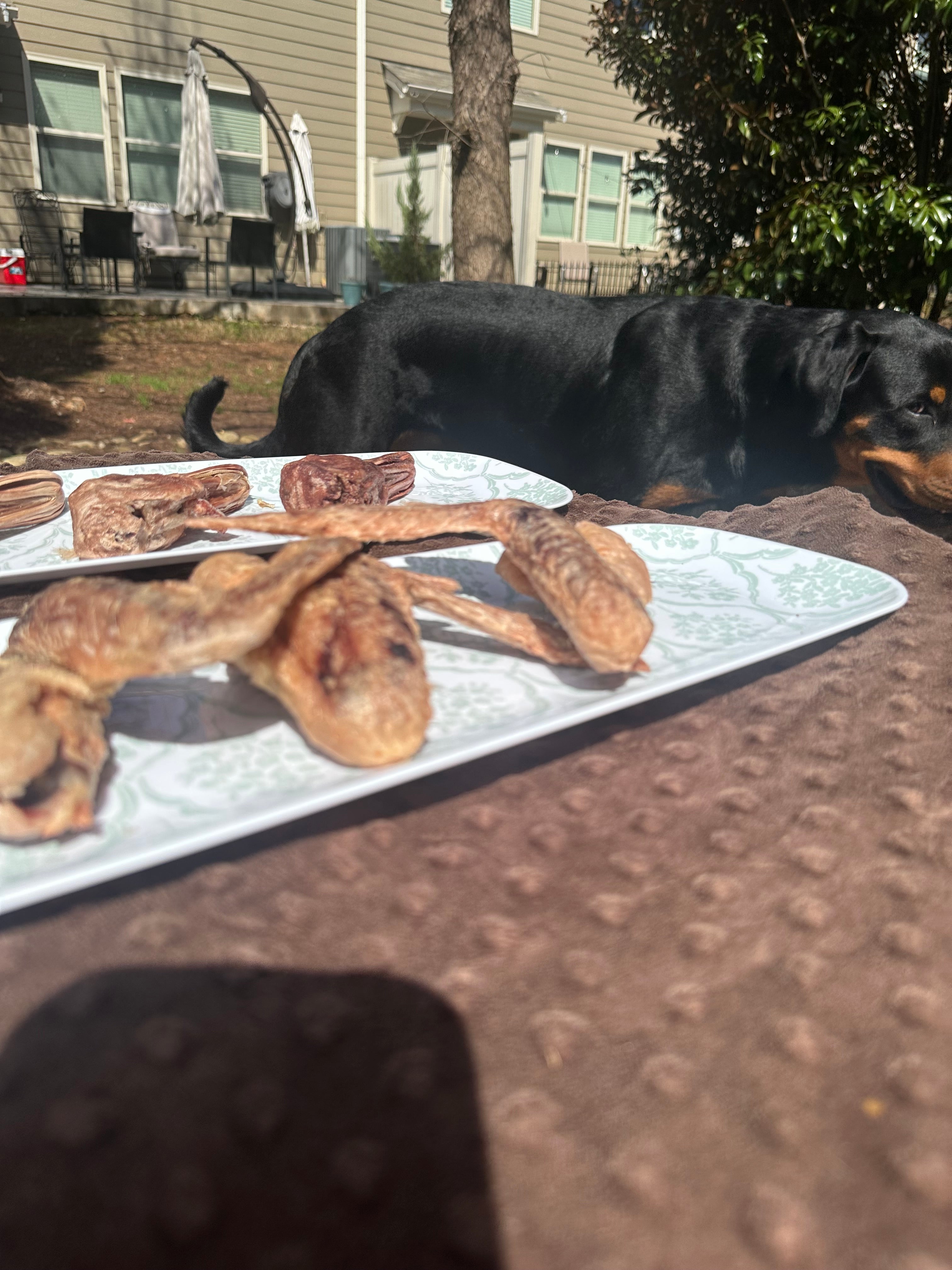 Freeze-Dried Duck Wing