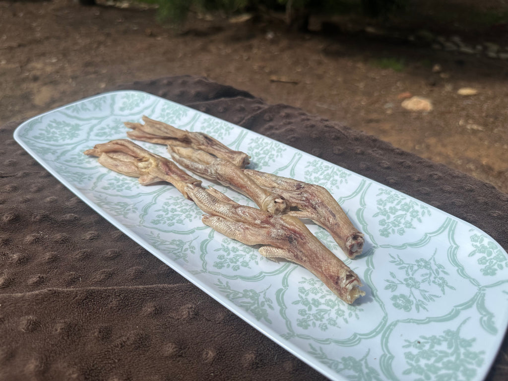 Duck Feet